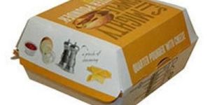 Burger Packaging Box