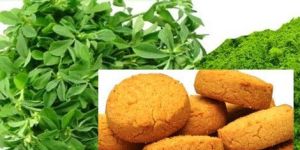 Baloon Vine Biscuits