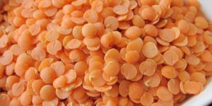 Red Lentils