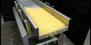 Vibrating Conveyor