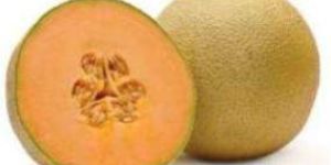 MM-B9098 Hybrid Muskrmelon Seeds