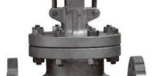 Cs Globe Valve