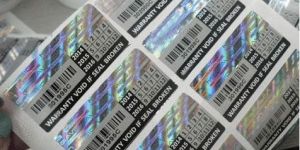 Self Destructive Holograms