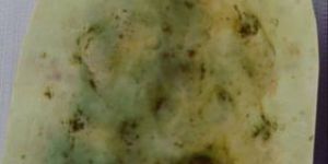 White Ganesha Statue Mold