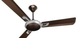 Ceiling Fan
