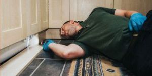 Rodent Pest Control Services near Me in Chennai