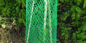 Hexagonal Pattern Tree Guard