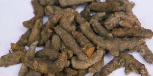 Unpolished Turmeric Finger