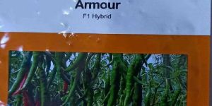 ARMOUR CHILLI F1