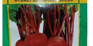 MAHY LAL-II BEETROOT SEED