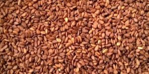 Brown Sesame Seeds