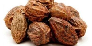 Dried Terminalia Chebula