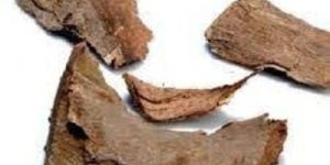 Eugenia Jambolana Bark