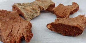 Ficus Benghalensis Bark