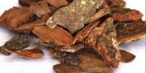 Prosopis Juliflora Bark