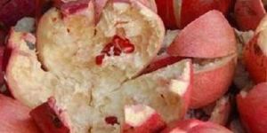 Punica Granatum Peel