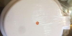 White Toilet Seat Cover