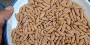 Shelled Pine Nuts