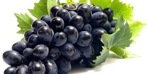 Fresh Black Grapes