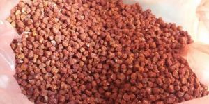 Gloriosa Superba Seeds