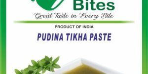 PANI PURI PASTE (PUDINA)