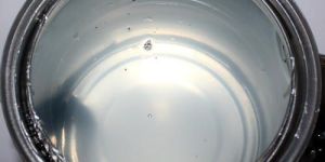 Insect Trap Adhesive Glue