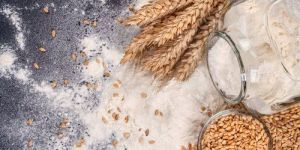 Gluten Free Wheat Flour