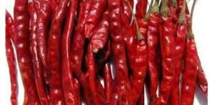 Kashmiri Red Chilli