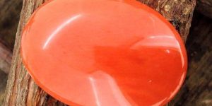 Natural Japanese Coral Gemstone