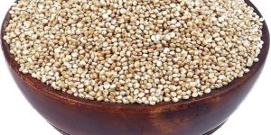 Quinoa Seeds