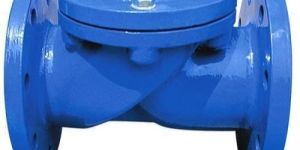 Mild Steel Swing Check Valve