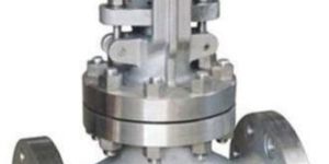 Stainless Steel Globe Valve