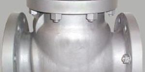 Stainless Steel Non Return Valve