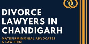 Divorce Lawyers in Chandigarh