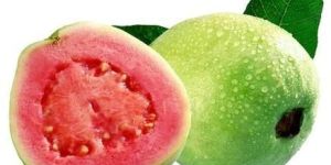 Fresh Guava