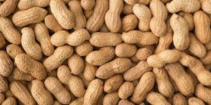 Shelled Groundnuts