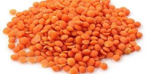 Red Lentils