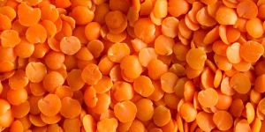 Red Split Lentils