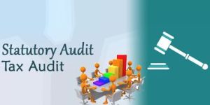 Statutory Audit Services