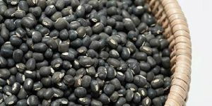 Whole Black Urad Dal