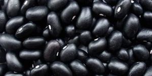 Black Kidney Beans