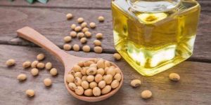 Soybean Oil