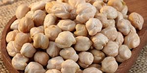 White Chickpea