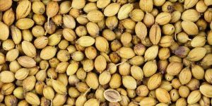 Coriander Seeds