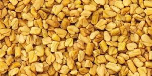 Fenugreek Seeds