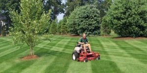 Garden Maintenance Services