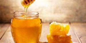 Honey Testing Services