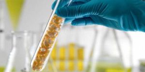 Spice Testing Services