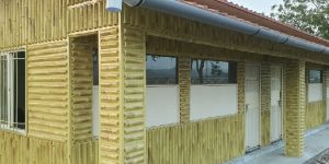 FRP Bamboo Wall Panels
