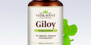 Vedikroots Ayurveda Giloy 60 Capsules